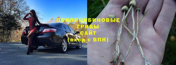 mdpv Волоколамск