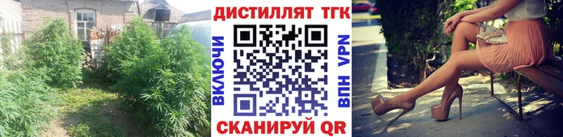 где купить наркотик  Кедровый  ТГК вейп с тгк 