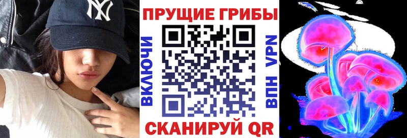 Галлюциногенные грибы GOLDEN TEACHER  darknet Telegram  Кедровый  что такое  